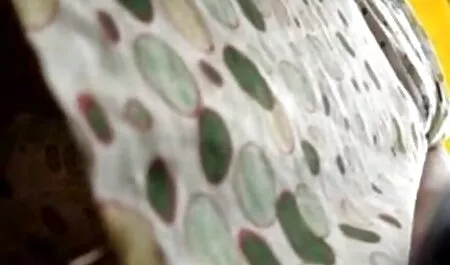 Thai édes teljes retro sexfilmek dörzsöli vissza, mielőtt a szájába a nagy faszt