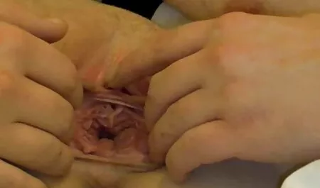 Fa kunyhó diák szex sexfilmek magyarul teljes parti